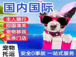 音布鲁克机场货运国际宠物托运 【国